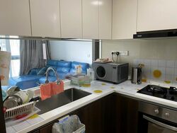 Symphony Suites (D27), Condominium #460747001